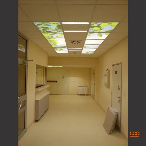 Klinički centar Srbije — obeležavanje objekta, zdravstvena ustanova, fotografija 1 od 1