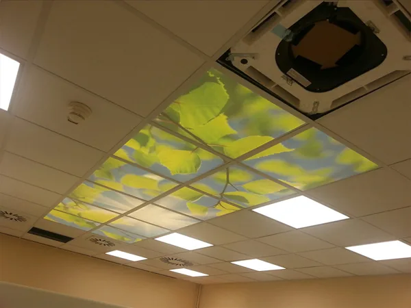 Klinički centar Srbije — obeležavanje objekta, zdravstvena ustanova, fotografija 4 od 9