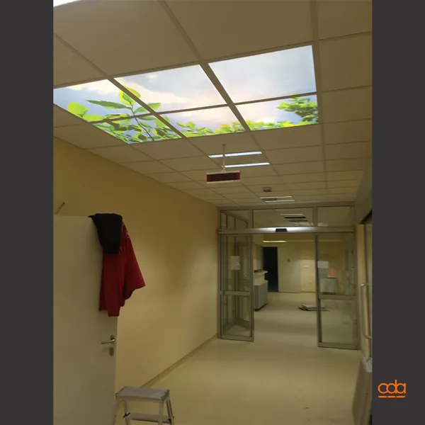 Klinički centar Srbije — obeležavanje objekta, zdravstvena ustanova, fotografija 5 od 9