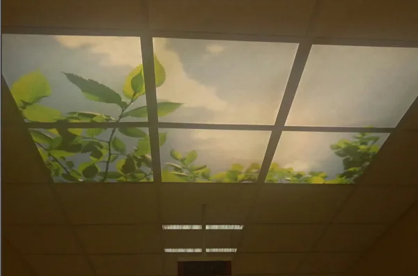 Klinički centar Srbije — obeležavanje objekta, zdravstvena ustanova, fotografija 6 od 9