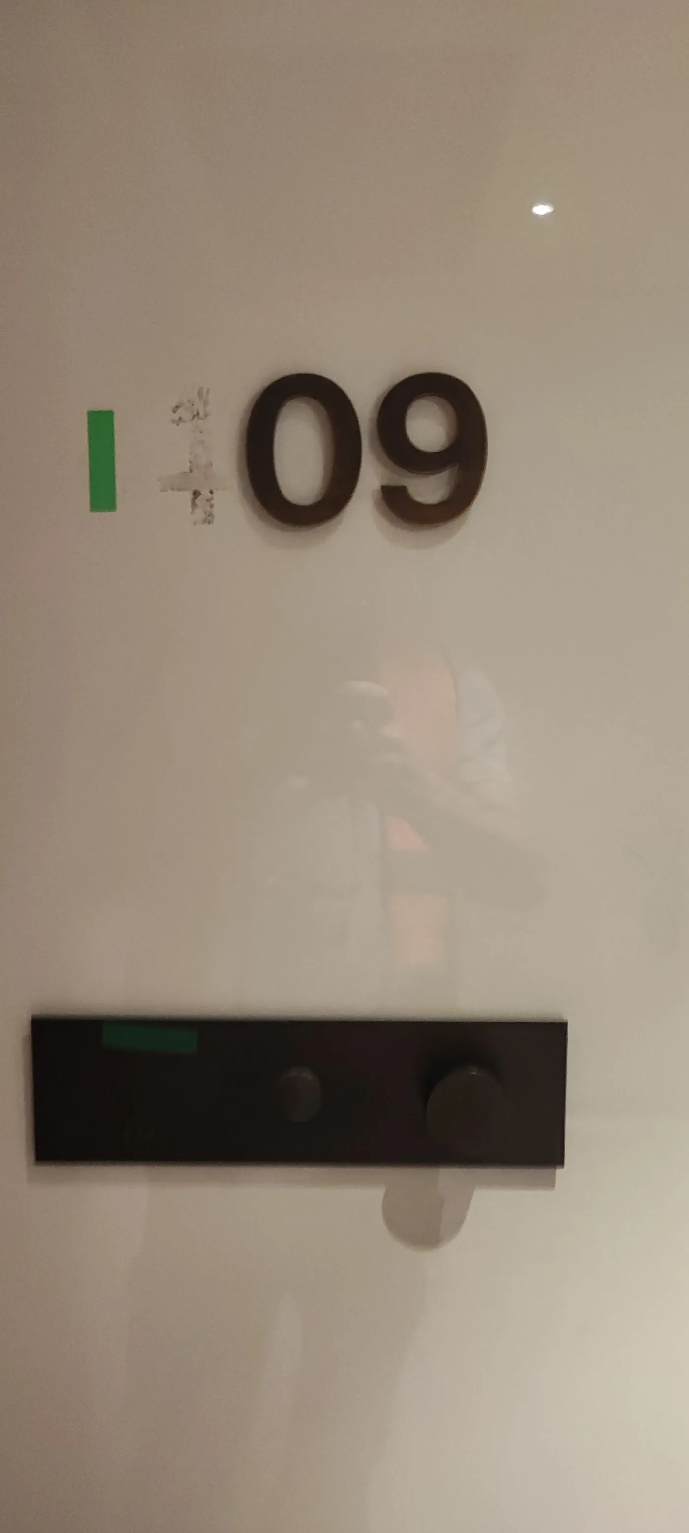 Kula Belgrade / St. Regis — obeležavanje objekta, hotel i stambena kula, fotografija 42 od 63